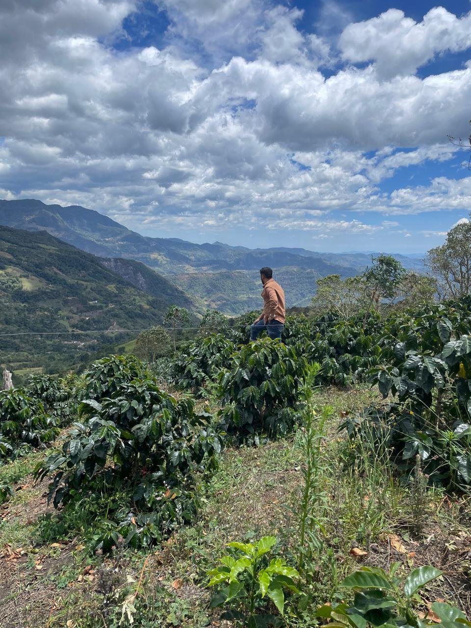 Paisaje de Finca Pedregal en Boyacá Colombia